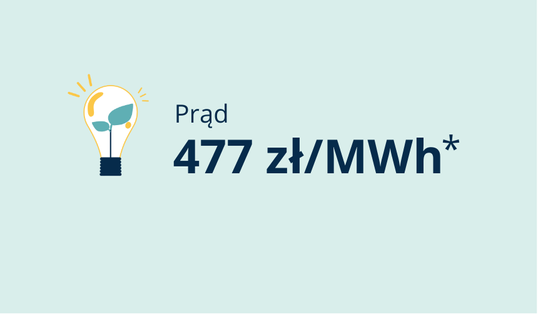 Stawka poglądowa - Niższa cena na start