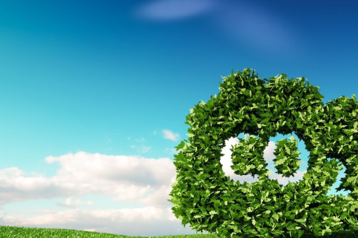 Liście układające się na kształt chmury zawierającej napis CO2 wewnątrz