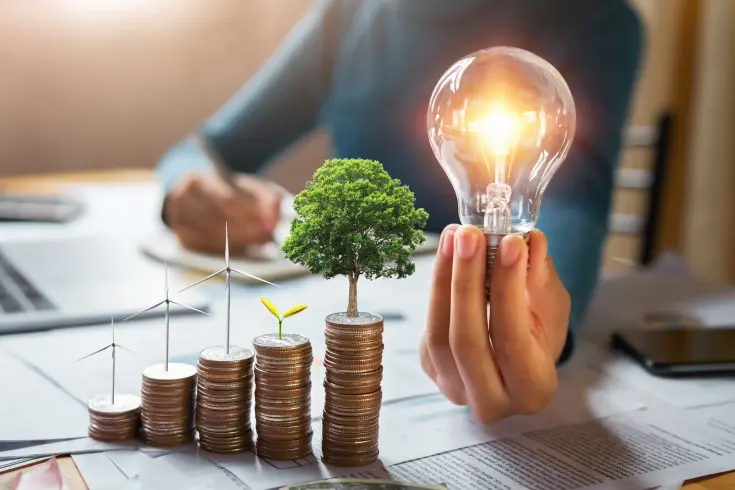 efektywność energetyczna dotacja bgk big